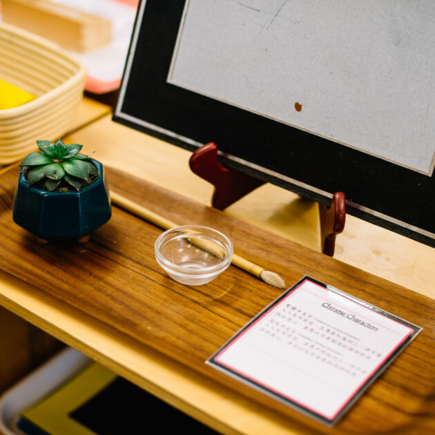 A wooden tray holds a small potted succulent, a clear plastic container, and a card with text, displayed on a wooden shelf next to a framed document.